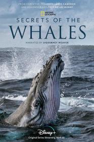 【高清剧集网发布 】鲸鱼的秘密[第02-03集][中文字幕] Secrets of the Whales 2021 1080p WEB-DL H264 AAC-Huawei