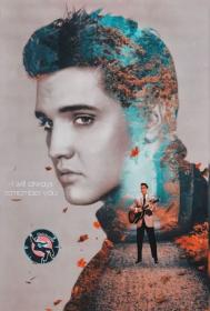Elvis Presley Movies Collection 720P-1080p H265-Zero00