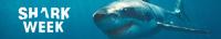 Shark Week 2023 Belly of the Beast Feeding Frenzy 1080p WEB h264-BAE[TGx]
