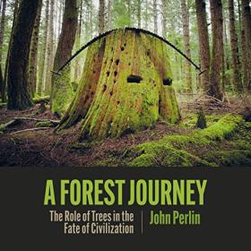 John Perlin - 2023 - A Forest Journey (History)