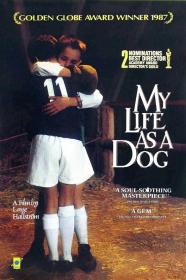 【高清影视之家发布 】狗脸的岁月[简繁英字幕] My Life as a Dog 1985 Criterion Collection BluRay 1080p LPCM 1 0 x265 10bit-DreamHD