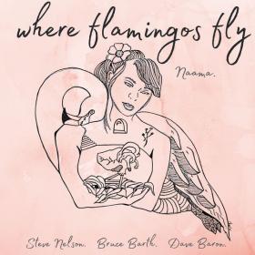 Naama - Where Flamingos Fly (2023) [24Bit-96kHz] FLAC [PMEDIA] ⭐️