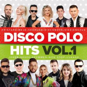••VA - Disco Polo Hits - Impreza z Disco Polo Vol 2 - 2022