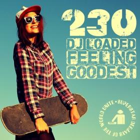 Various Artists - 230 DJ Loaded - Feeling Goodest (2023) Mp3 320kbps [PMEDIA] ⭐️