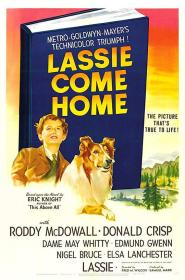 【高清影视之家发布 】灵犬莱西[中文字幕] Lassie Come Home 1943 2160p WEB-DL H265 AAC-DreamHD