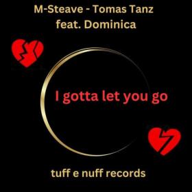 M-Steave - I Gotta Let You Go (Radio Version) (2023) [24Bit-48kHz] FLAC [PMEDIA] ⭐️
