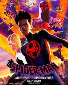 Spider Man Across The Spider Verse (2023) iTA-ENG WEBDL 1080p x264-Dr4gon MIRCrew