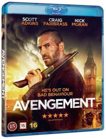 Avengement 2019 UNCUT 1080P 10Bit BluRay H265 DDP5.1 [HINDI + ENG] ESUB-SHB931