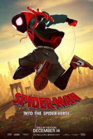 [蜘蛛侠：平行宇宙]Spider-Man Into The Spider-Verse 2018 1080p 10bit UHD Blu-ray DDP 7 1 HEVC-NmCT