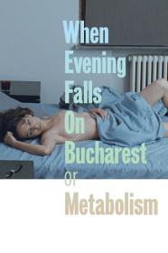 When Evening Falls On Bucharest Or Metabolism (2013) [720p] [WEBRip] [YTS]