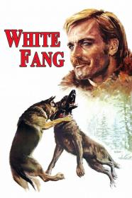 White Fang (1973) [720p] [WEBRip] [YTS]