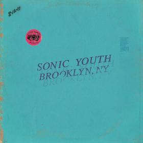 Sonic Youth - Live in Brooklyn, Ny  (2023 Rock) [Flac 24-48]
