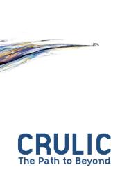 Crulic - The Path To Beyond (2011) [1080p] [WEBRip] [5.1] [YTS]
