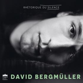 David Bergmüller - Rhétorique du Silence (2023) [24Bit-96kHz] FLAC [PMEDIA] ⭐️