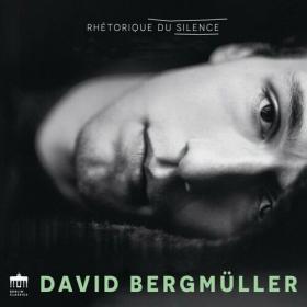 David Bergmüller - Rhétorique du Silence (2023) Mp3 320kbps [PMEDIA] ⭐️