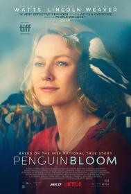 【高清影视之家发布 】企鹅布鲁姆[中文字幕] Penguin Bloom 2020 BluRay 1080p DTS-HDMA 5.1 x265 10bit-DreamHD