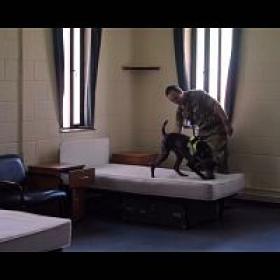 Court Martial Soldiers Behind Bars S01E02 1080p HDTV H264-DARKFLiX[TGx]