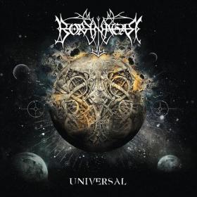 Borknagar  - Universal  (Remastered 2023) (2023) [24Bit-44.1kHz] FLAC [PMEDIA] ⭐️