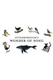 Attenboroughs Wonder Of Song (2022) [720p] [WEBRip] [YTS]
