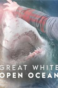Great White Open Ocean (2022) [1080p] [WEBRip] [YTS]
