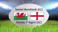 Wales v England Aug  5 2023 AMZN WEBRip 1080p EAC3 2.0 x264