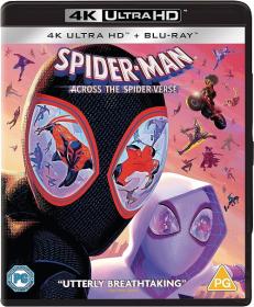 Spider-Man Across the Spider-Verse 2023 BDREMUX 2160p HDR DVP8 seleZen