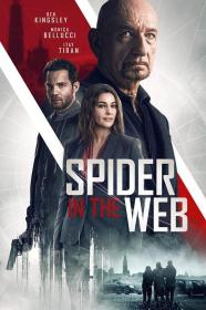 【高清影视之家发布 】网中蜘蛛[中文字幕] Spider in the Web 2019 BluRay 1080p DTS-HDMA 5.1 x265 10bit-DreamHD