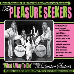 The Pleasure Seekers - What A Way To Die (1965-68, 2011)⭐FLAC