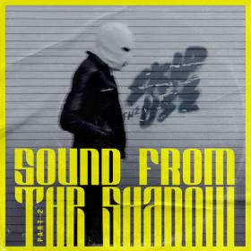 Skip The Use - Sound From The Shadow, Pt  2 (2023) [24Bit-44.1kHz] FLAC [PMEDIA] ⭐️