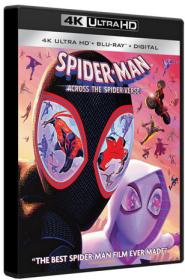 Spider-Man Across the Spider-Verse 2023 UHD HYBRID 4K BluRay 2160p HDR10+ TrueHD 7.1 Atmos H 265-MgB