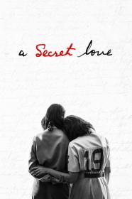 A Secret Love (2020) [1080p] [WEBRip] [5.1] [YTS]