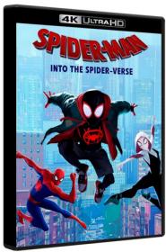 Spider-Man Into the Spider-Verse 2018 UHD 4K Hybrid BluRay 2160p ReMux HDR TrueHD Atmos 7 1-MgB