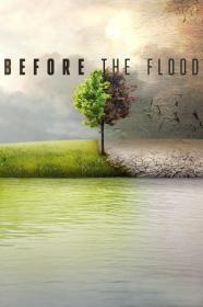 Before The Flood (2016) [720p] [WEBRip] [YTS]