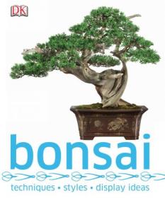Bonsai by DK