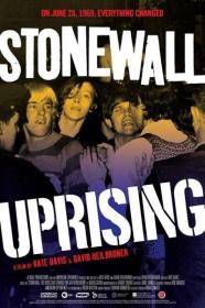 PBS American Experience 2010 Stonewall Uprising 1080p AV1 AAC MVGroup Forum