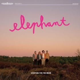 Elephant - Shooting for the Moon (2023) Mp3 320kbps [PMEDIA] ⭐️