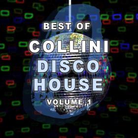 Various Artists - Collini Disco House Vol  1 (2023) Mp3 320kbps [PMEDIA] ⭐️