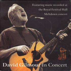 David Gilmour - In Concert~Unplugged