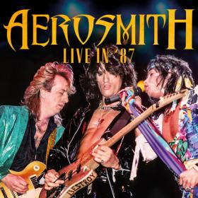 Aerosmith - Live In '87 (2023) FLAC [PMEDIA] ⭐️