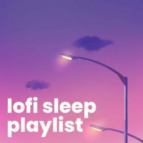 Various Artists - lofi sleep playlist (2023) Mp3 320kbps [PMEDIA] ⭐️