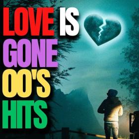 Various Artists - Love Is Gone 00s Hits (2023) Mp3 320kbps [PMEDIA] ⭐️