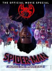 Spider-Man Across The Spider-Verse 2023 iTA-ENG Bluray 1080p x264-CYBER