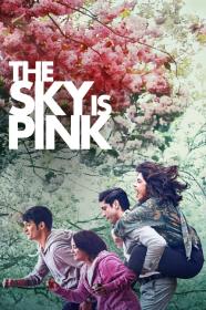 The Sky Is Pink (2019) [720p] [WEBRip] [YTS]