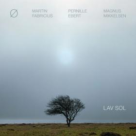 Martin Fabricius - Lav Sol (2023) [24Bit-96kHz] FLAC [PMEDIA] ⭐️