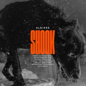 Algiers - Shook (Deluxe Edition) (2023) [16Bit-44.1kHz] FLAC [PMEDIA] ⭐️