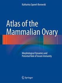 Atlas of the Mammalian Ovary - Morphological Dynamics and Potential Role of Innate Immunity