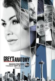 【高清剧集网发布 】实习医生格蕾 第十四季[全24集][简繁英字幕] Grey's Anatomy S14 1080p DSNP WEB-DL DDP 5.1 H.264-BlackTV