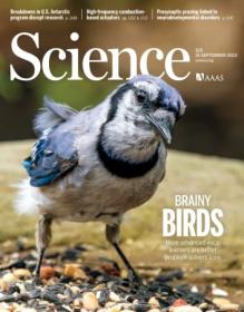 Science - Volume 381 Issue 6663, 15 September 2023