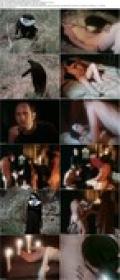 Acts Of Confession 1972 DVDRip x264-worldmkv