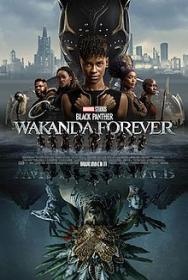Black Panther Wakanda Forever 2022 IMAX 1080p WEBRip x265-RBG